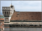 foto Firenze dal campanile di Giotto